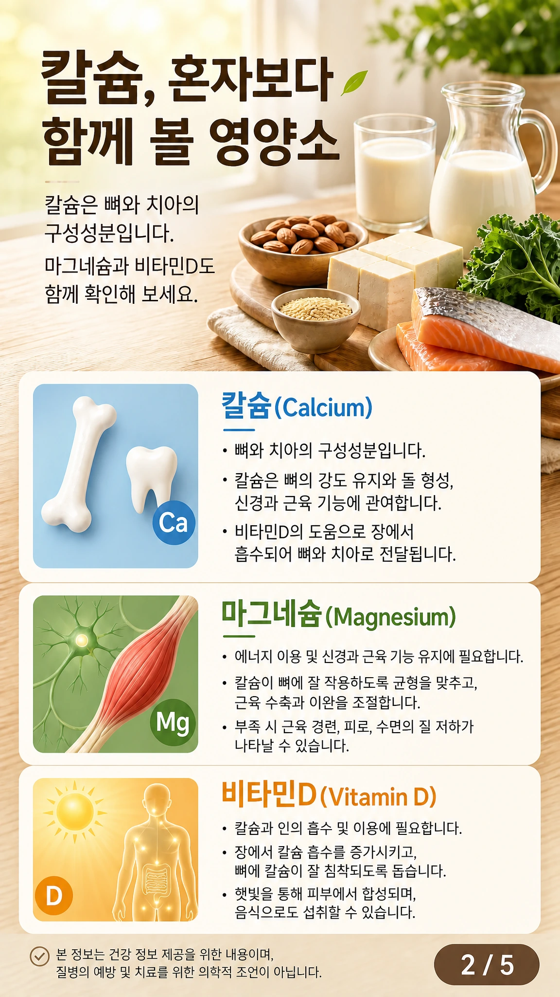 칼슘, 마그네슘, 비타민D가 나란히 배치되고 각각의 역할을 간단히 표시한 인포그래픽
