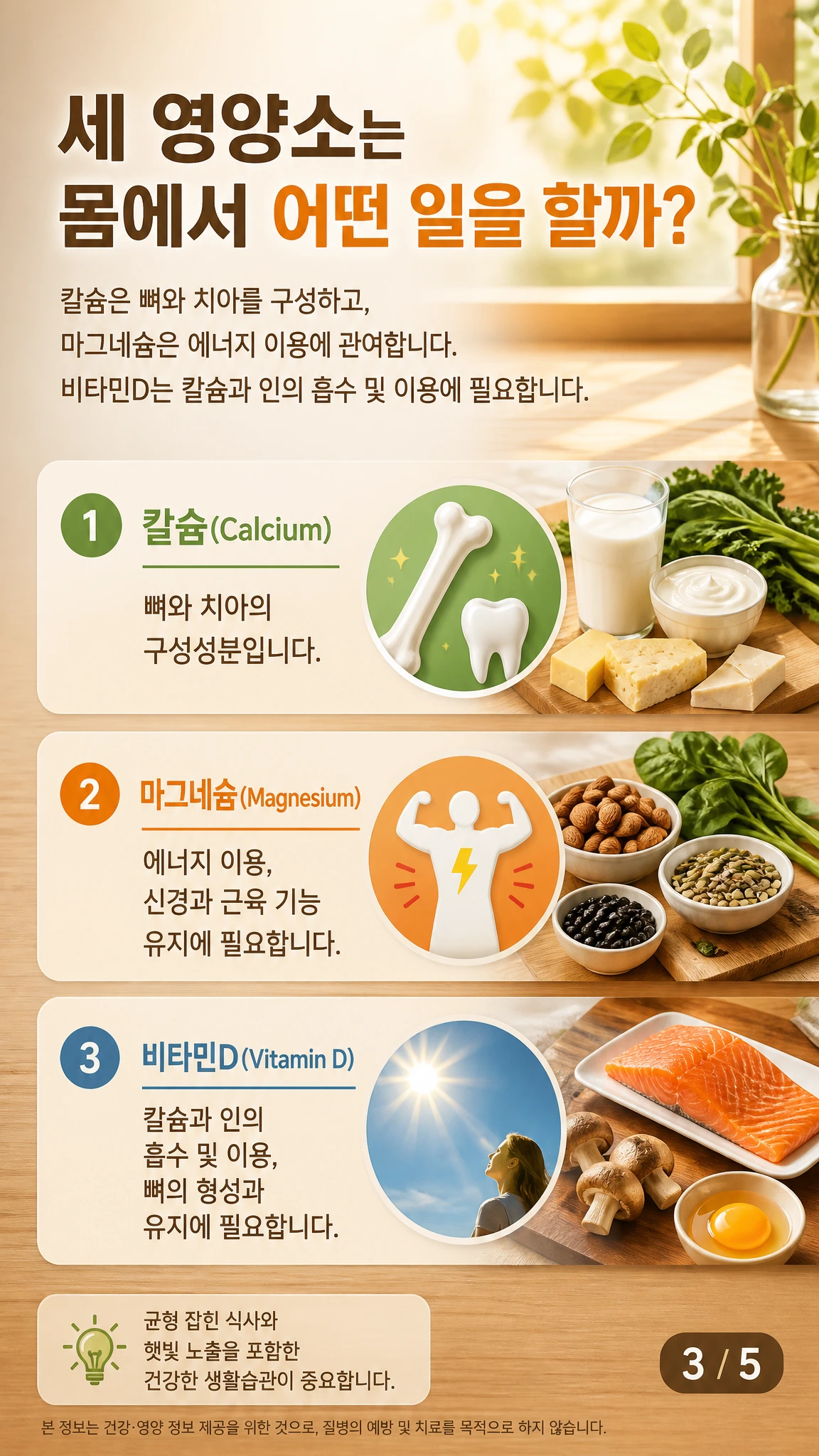 뼈, 근육, 에너지 아이콘을 칼슘·마그네슘·비타민D와 연결한 개념도