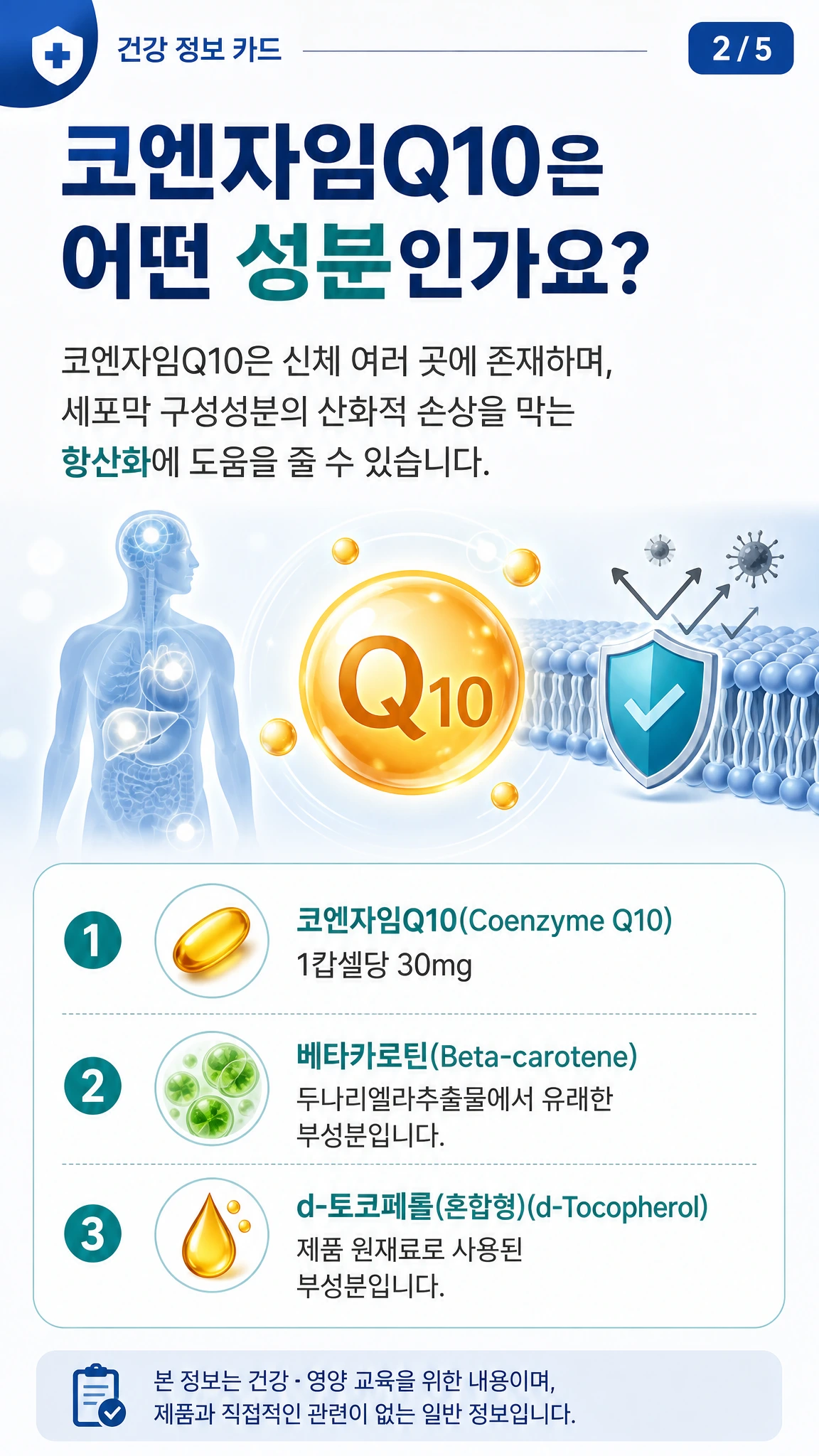 코엔자임Q10의 항산화 및 ATP 생성 관련 키워드를 표현한 인포그래픽